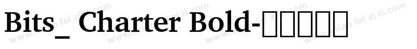 Bits_ Charter Bold字体转换